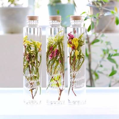 【蜜豹文創】方寸容器中的&ldquo;花花世界&rdquo;